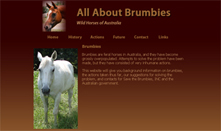 All About Brumbies